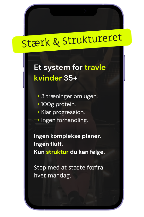 Stærk & Struktureret system