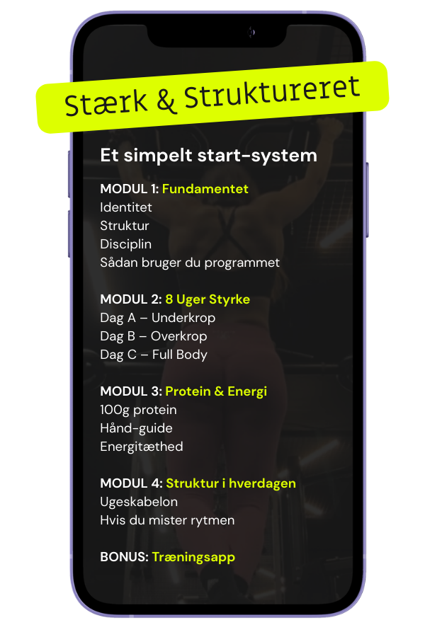 Stærk & Struktureret system